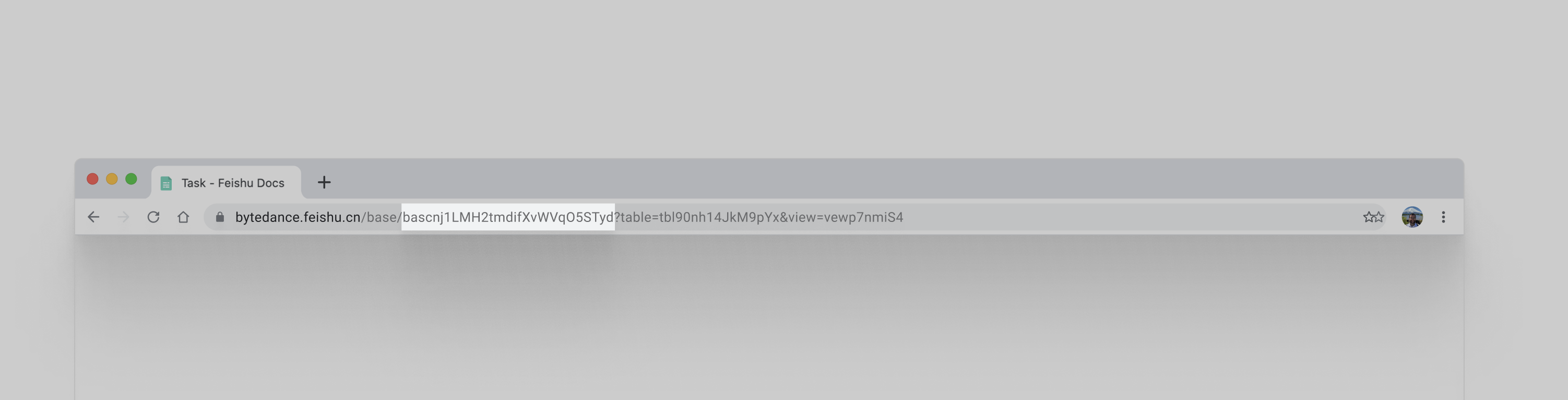 app_token.png